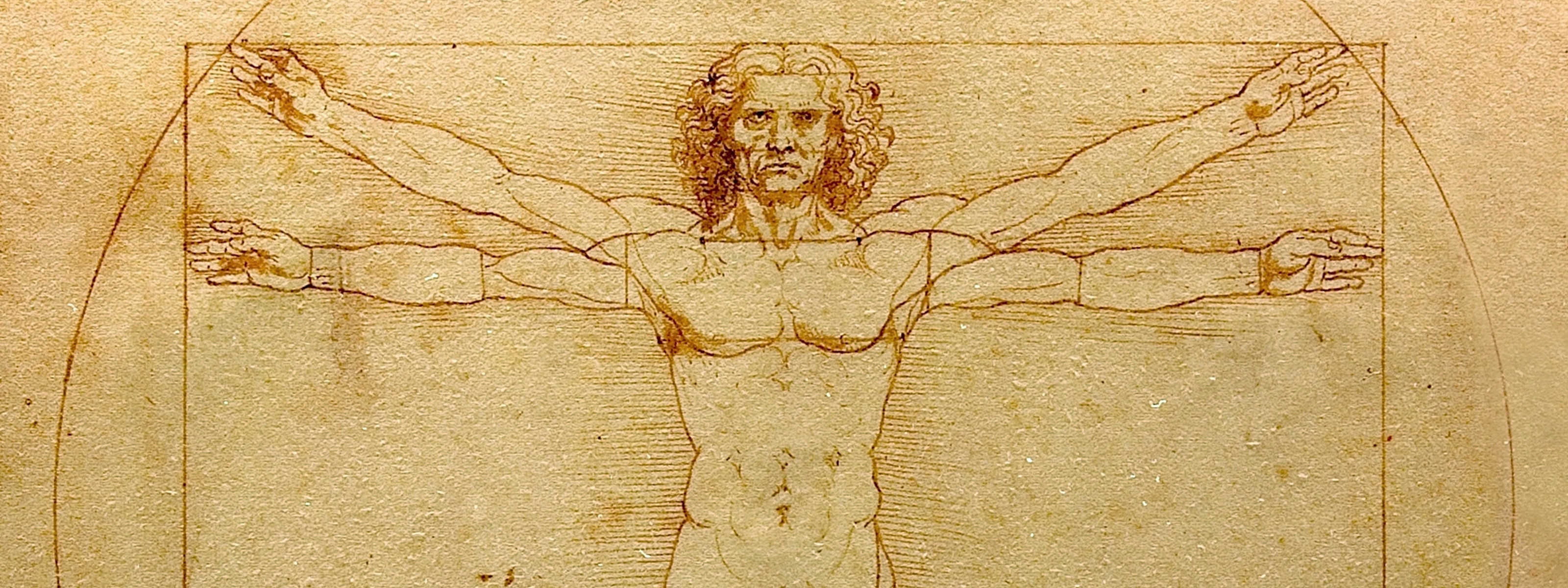 Der Vitruvianische Mensch von Leonardo da Vinci